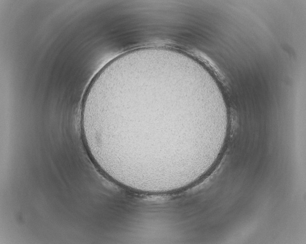 X0000115421178200912151557