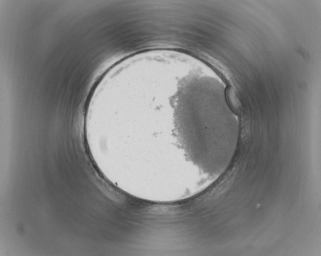 X0000115421179200912151557