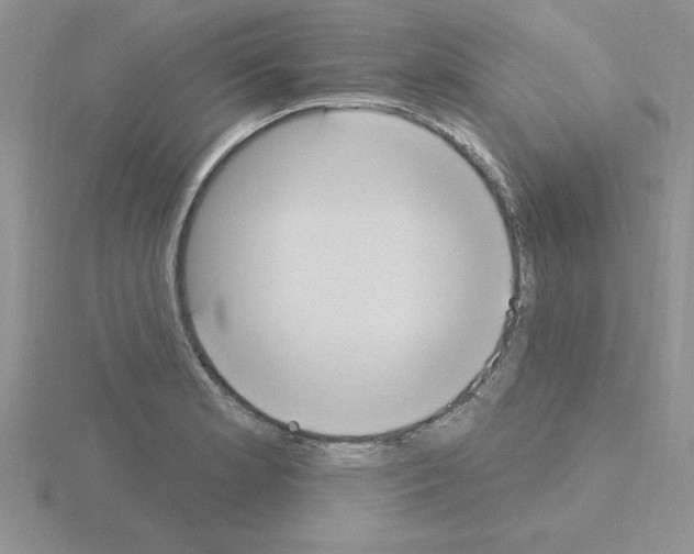 X0000115421181200912151557