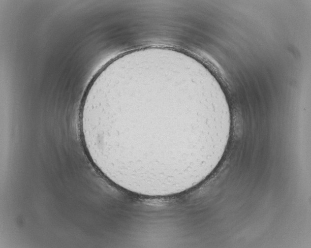 X0000115421182200912151557