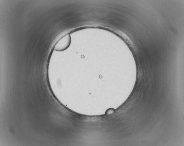 X0000115421183200912151557