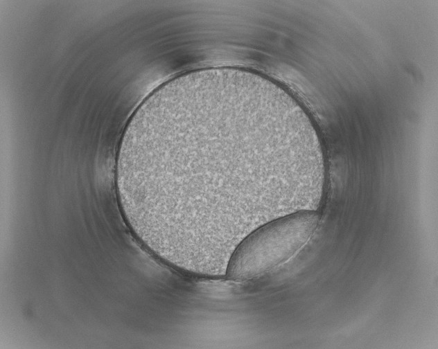 X0000115421185200912151557