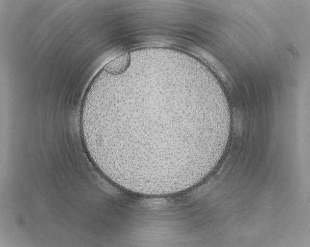 X0000115421186200912151557