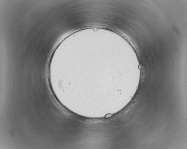 X0000115421187200912151557