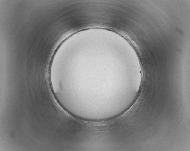 X0000115421189200912151557