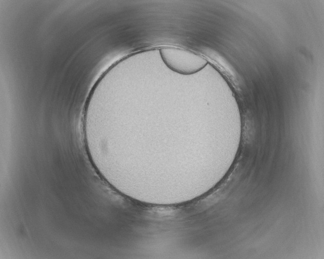 X0000115421190200912151557