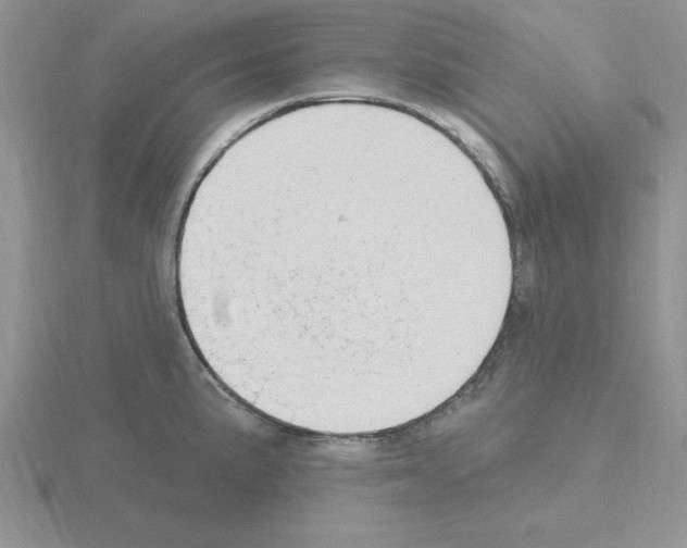 X0000115421191200912151557