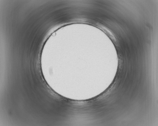 X0000115421192200912151556