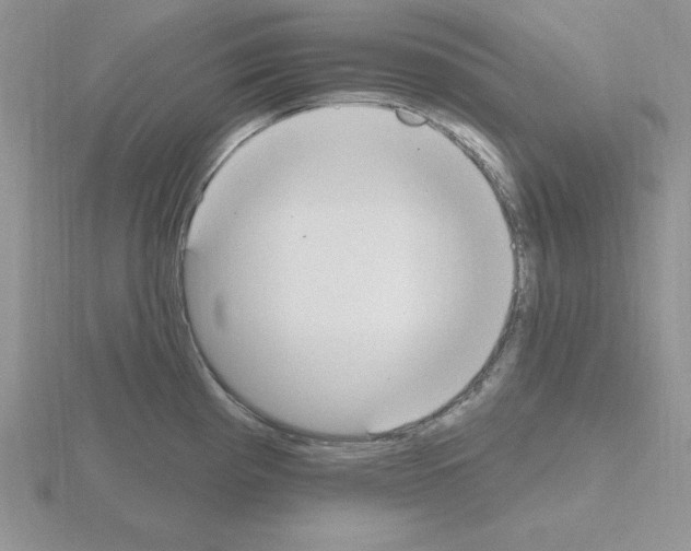 X0000115421193200912151556