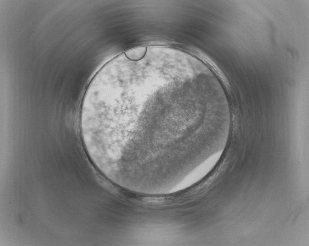 X0000115421194200912151556