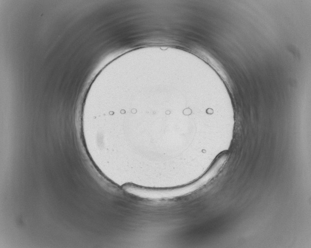 X0000115421195200912151556