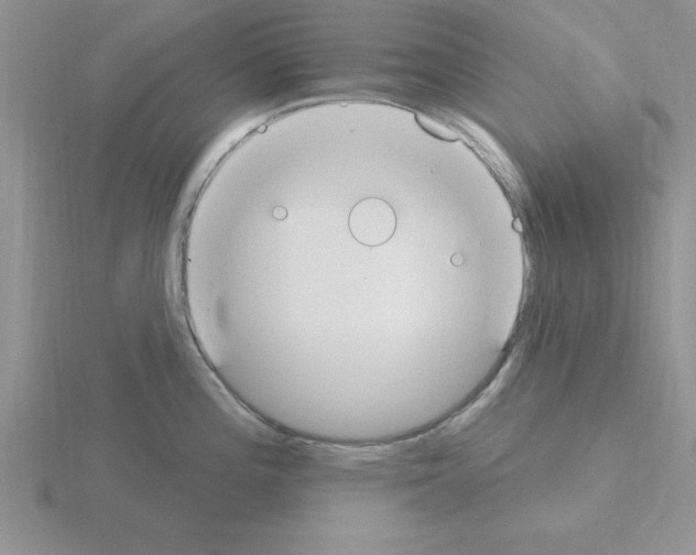 X0000115421196200912151556