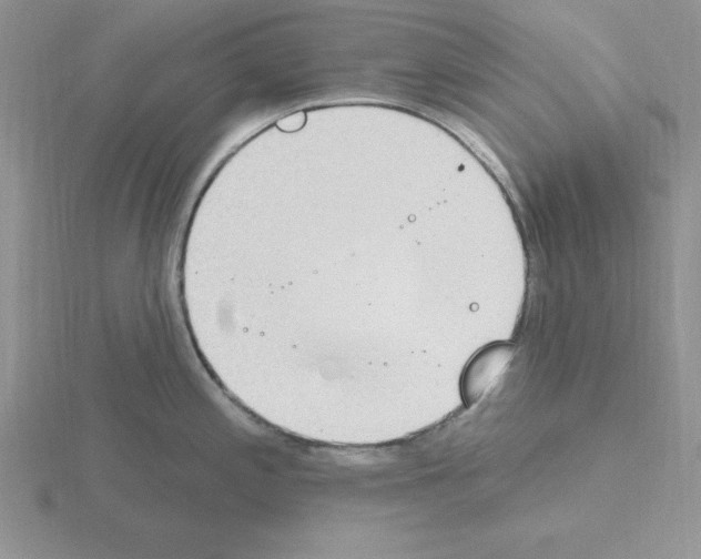 X0000115421197200912151556