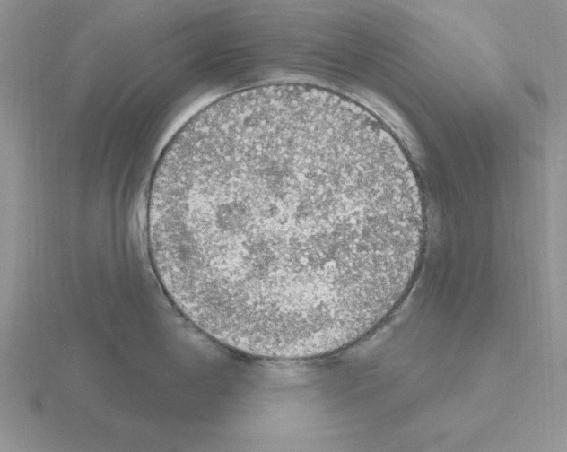 X0000115421198200912151556