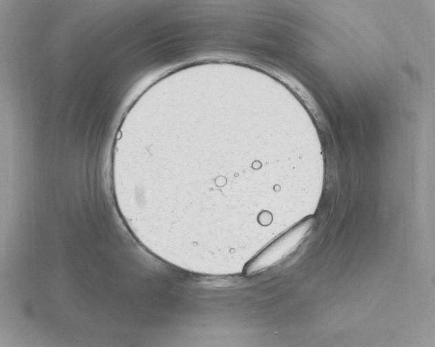 X0000115421199200912151556