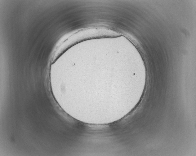 X0000115421200200912151556