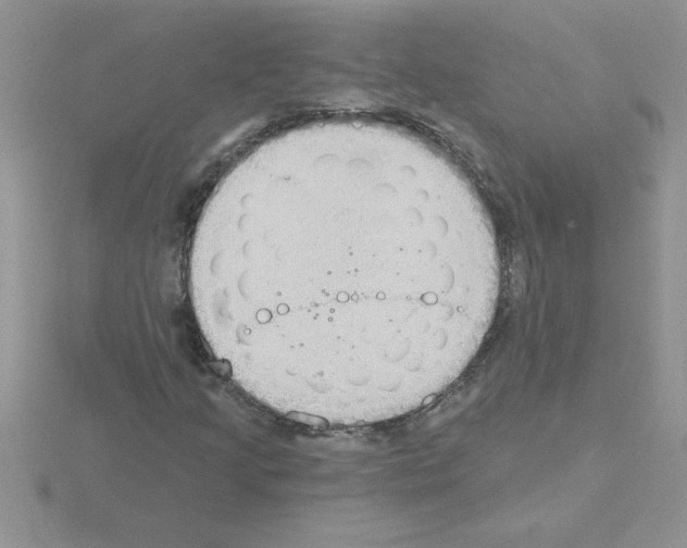 X0000115421205200912151556