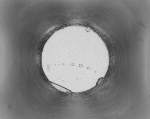 X0000115421206200912151556