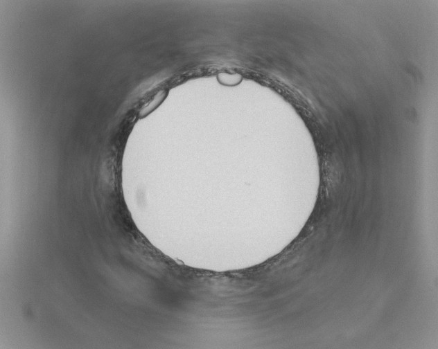 X0000115421207200912151556