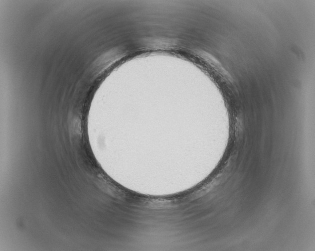 X0000115421209200912151556