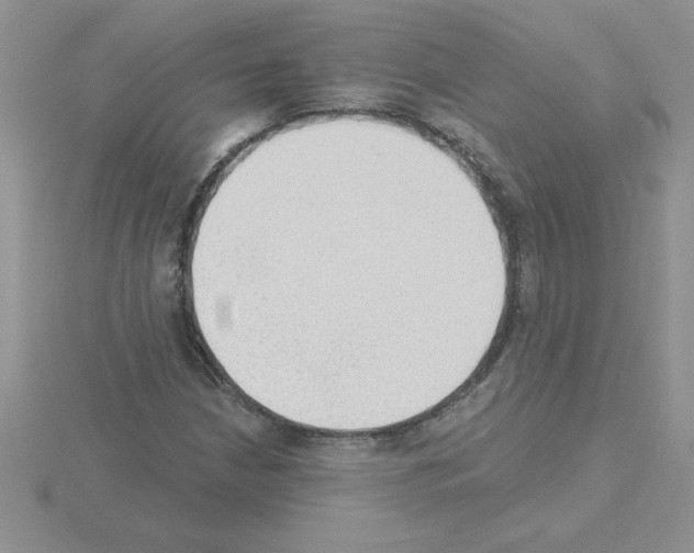 X0000115421210200912151556