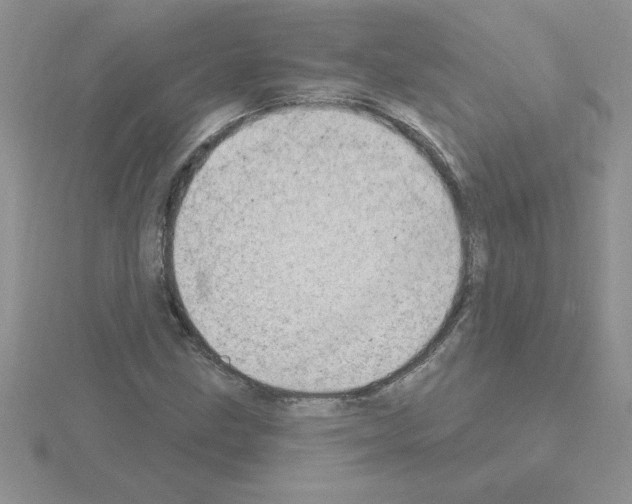 X0000115421211200912151556