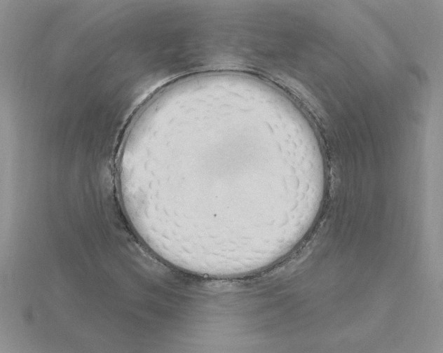 X0000115421212200912151556