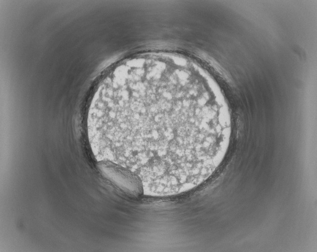 X0000115421213200912151556