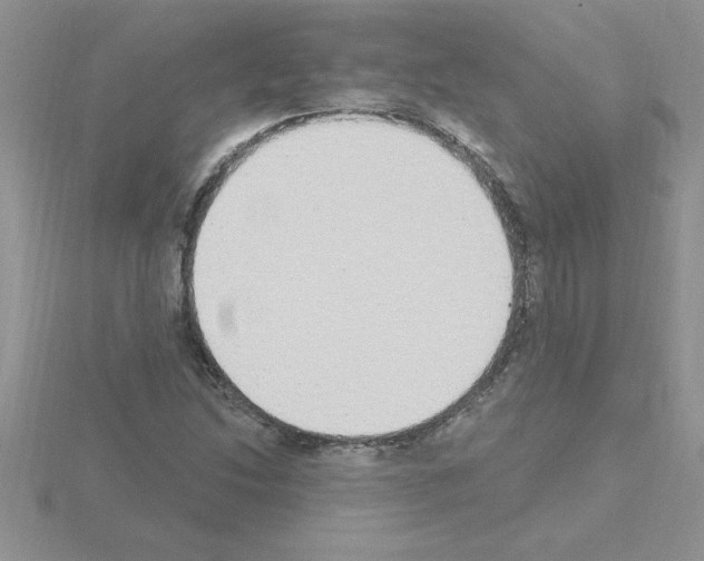 X0000115421214200912151556