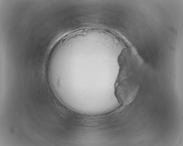 X0000115421215200912151556