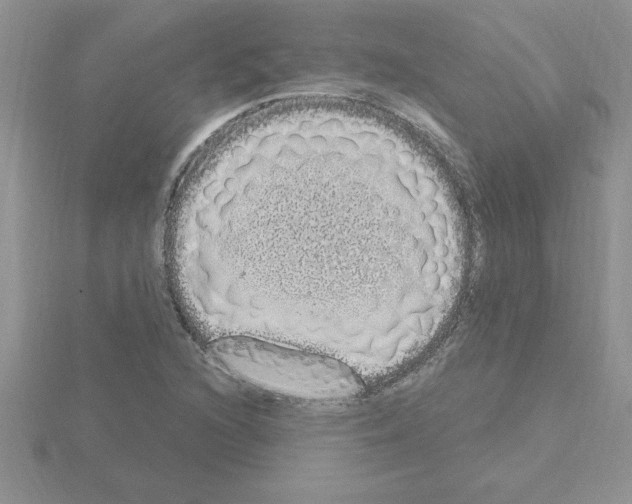 X0000115421216200912151556