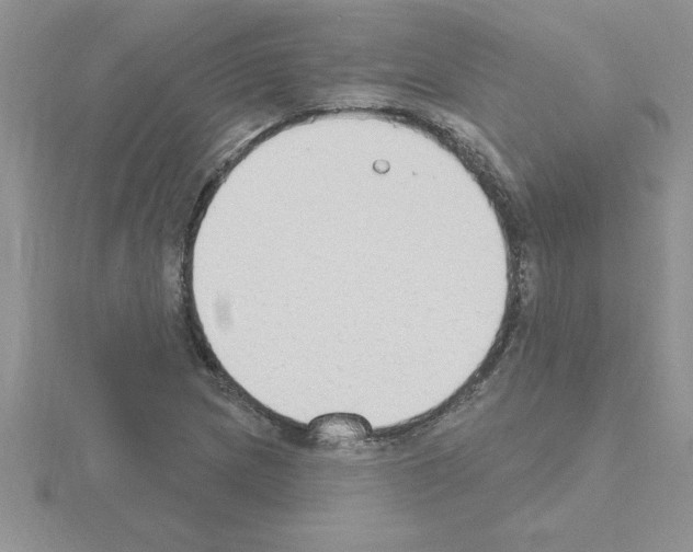 X0000115421217200912151556