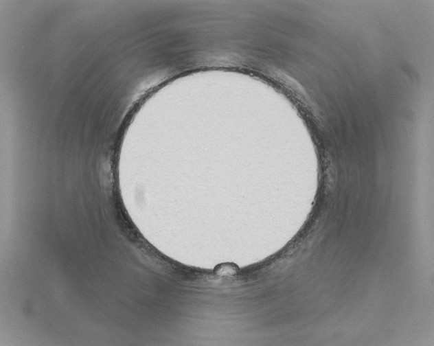 X0000115421218200912151556