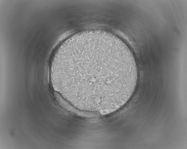 X0000115421219200912151556