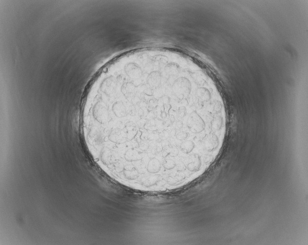 X0000115421220200912151556