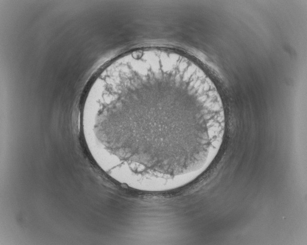 X0000115421221200912151556