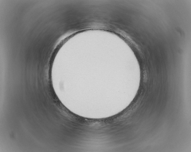 X0000115421222200912151556