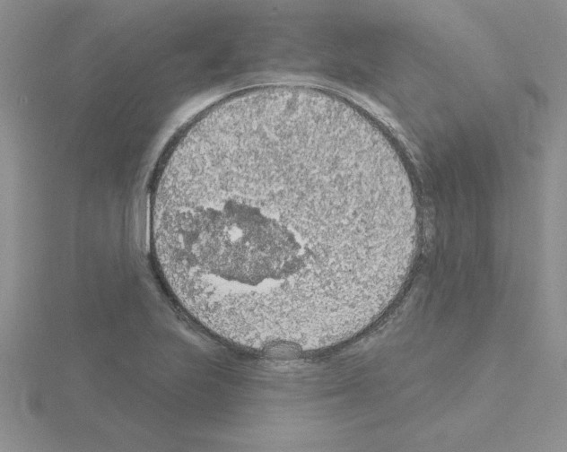 X0000115421223200912151556