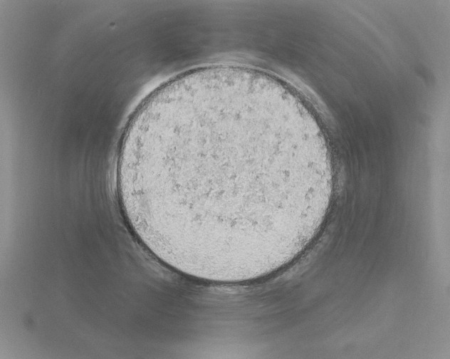 X0000115421224200912151556