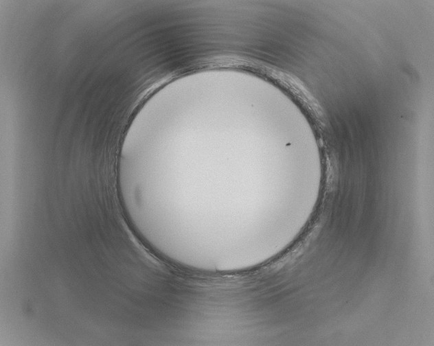 X0000115421225200912151556