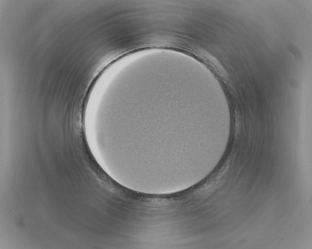 X0000115421226200912151556