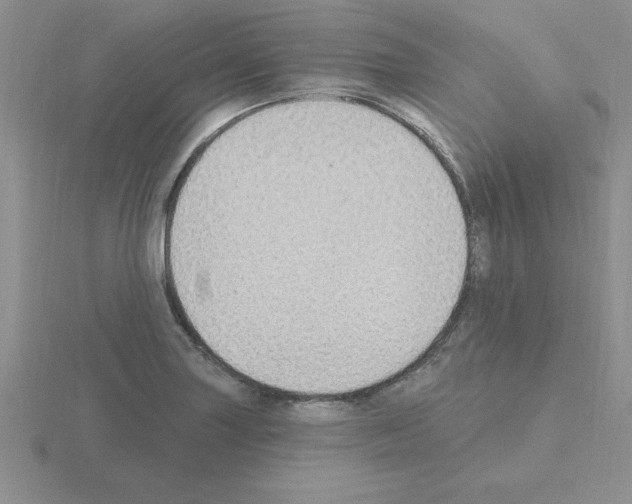 X0000115421227200912151556