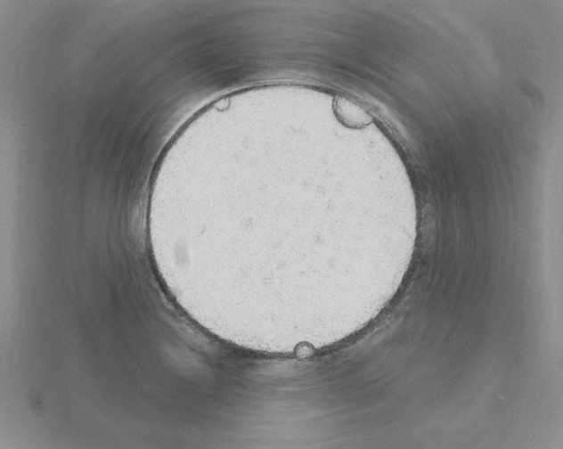 X0000115421228200912151556