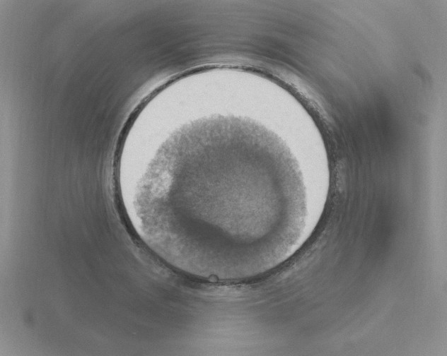 X0000115421229200912151556