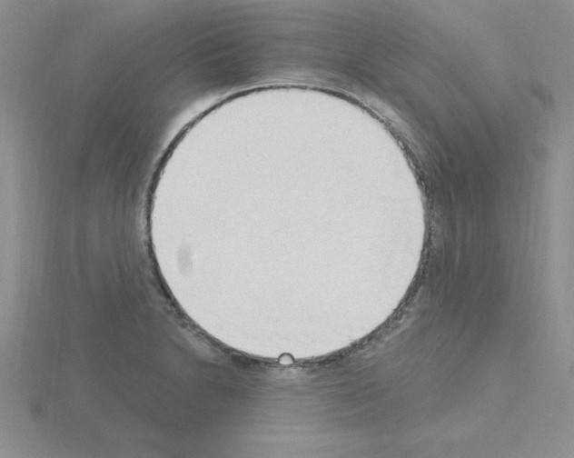 X0000115421230200912151556