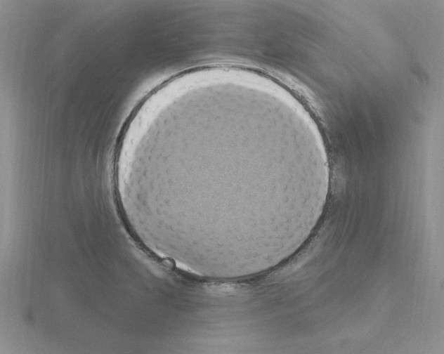 X0000115421231200912151556