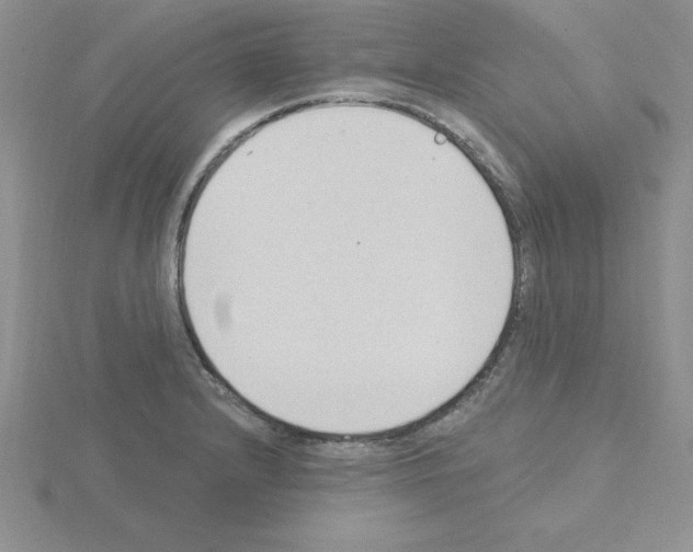 X0000115421232200912151556