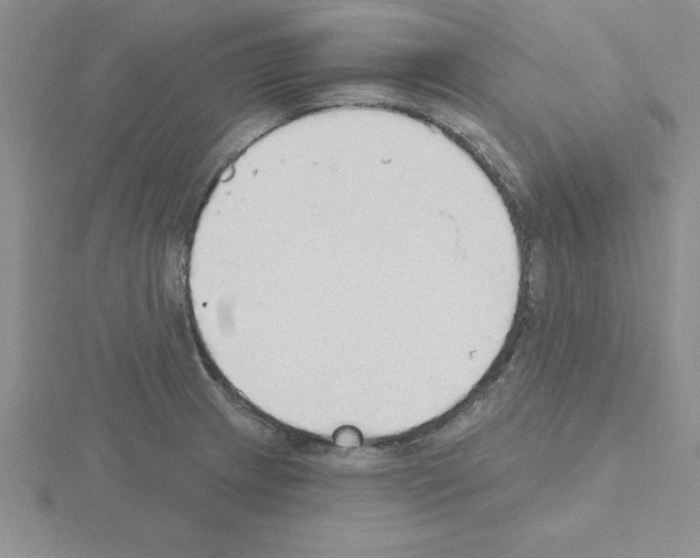 X0000115421233200912151556