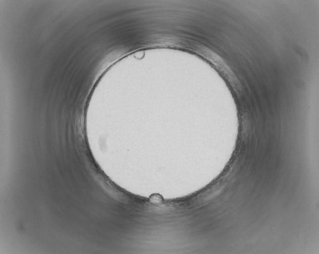 X0000115421234200912151556