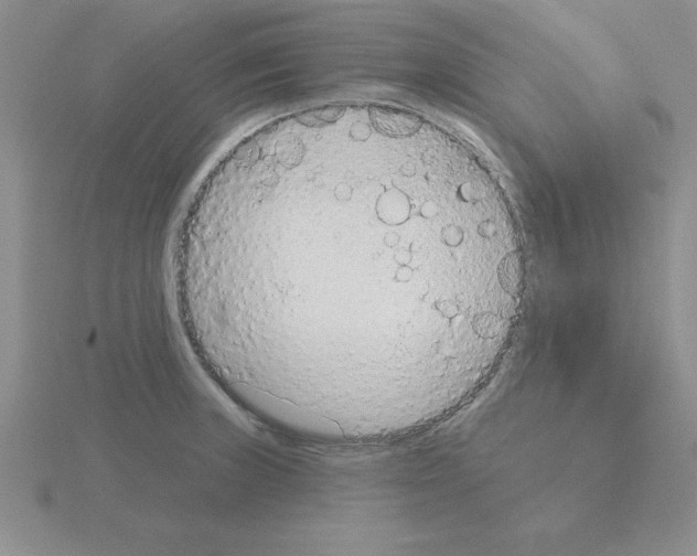 X0000115421235200912151556